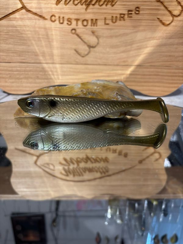 Phantom 5 - Gizzard Shad