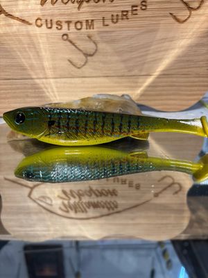 Phantom 6 - Green Sunfish