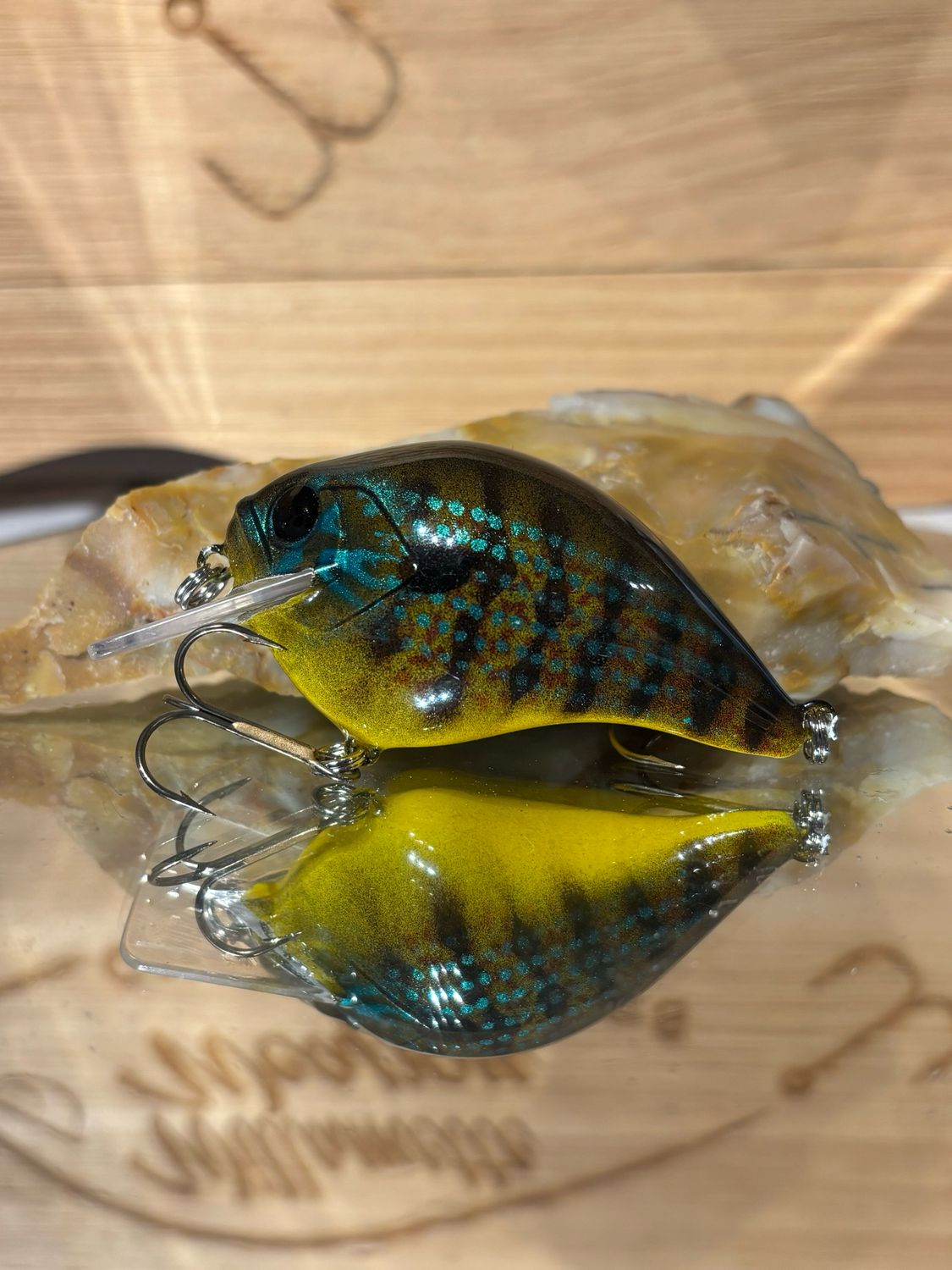 Super squarebill - Green Sunfish