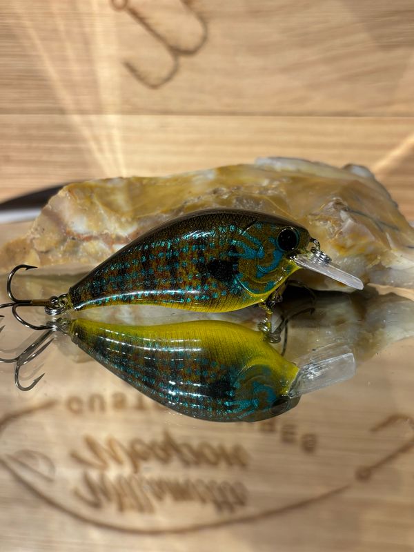 Mako Squarebill - Green Sunfish