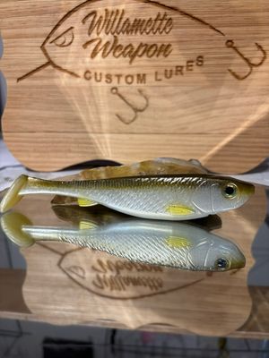 Phantom 6 - Golden Shiner