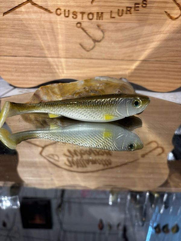 Phantom 5 - Golden Shiner