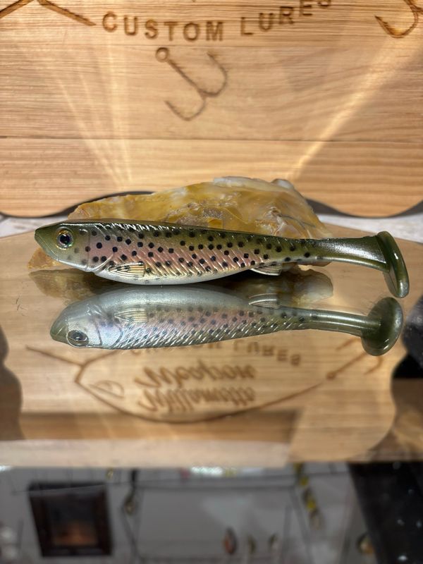 Phantom 5 - Rainbow Trout