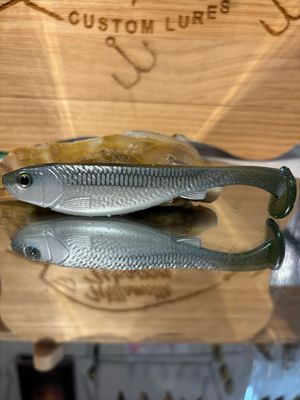 Phantom 5 - Blueback Herring