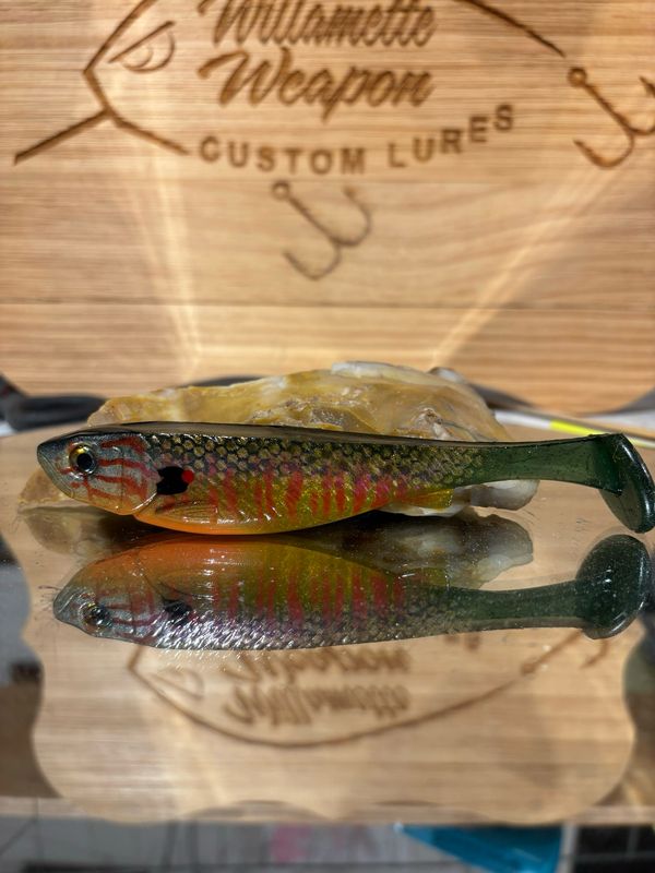 Phantom 5 - Pumpkinseed Bluegill
