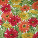 Motiv: Blommor &amp; Natur