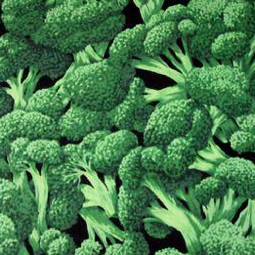 FQ - Broccoli