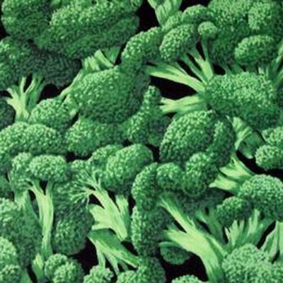 FQ - Broccoli