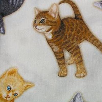 FQ - Kattungar