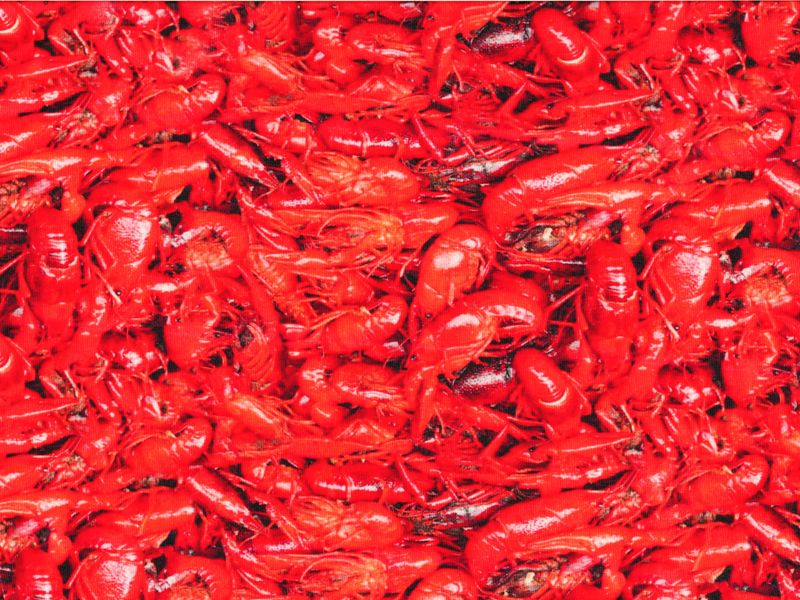 🦞 Trikå – Rödorange kräftor – Metervara