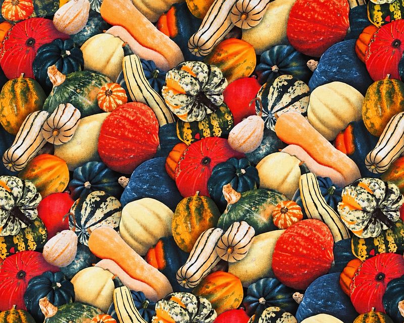 🎃 Lappteknikstyg Food Festival – Pumpor &amp; Kalebasser, 110 cm