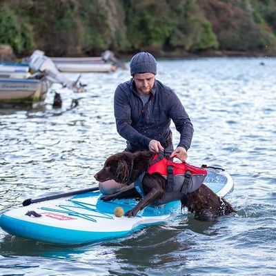 Red Paddle, Original Dog PFD