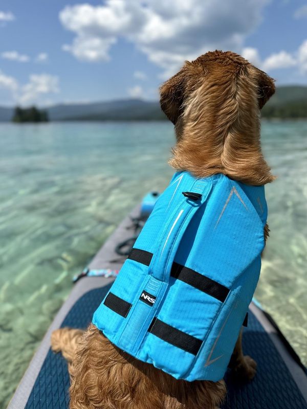 NRS, Dog PFD
