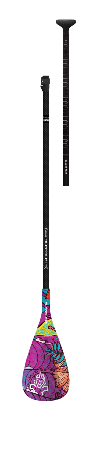 Starboard, Enduro Tiki Tech Sun, 29MM Carbon F35 2-PC Paddle