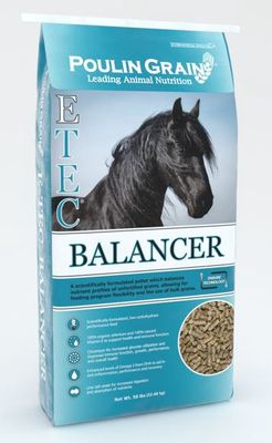 Etec Balancer