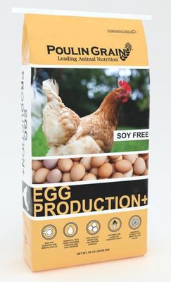 Egg Production