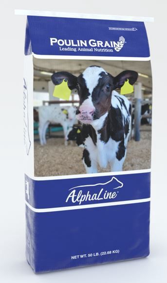 Alpha Line Calf Starter