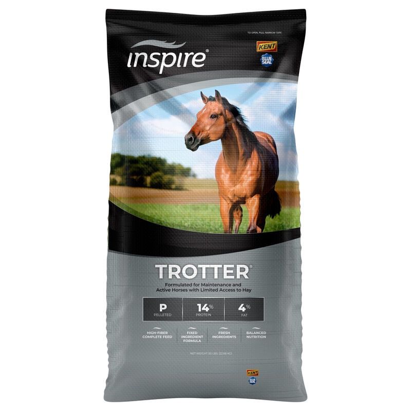 Trotter
