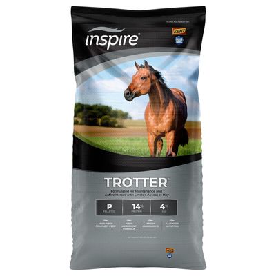 Trotter