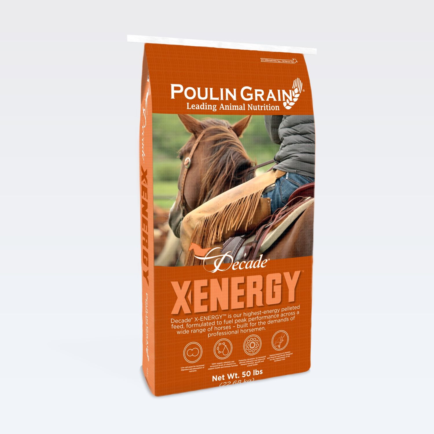 Decade X-ENERGY (Previously Endurance Sport)