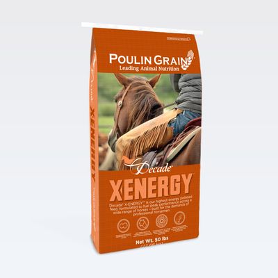 Decade X-ENERGY (Previously Endurance Sport)