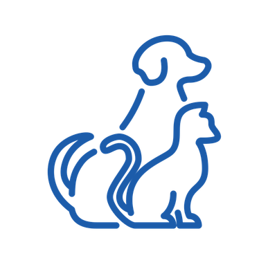 Pet