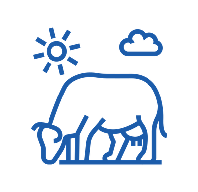 Livestock