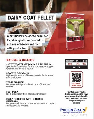 Dairy Goat Pellet