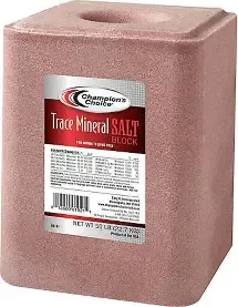 Red Salt Block