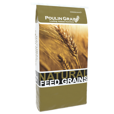 Golden Select Whole Oats