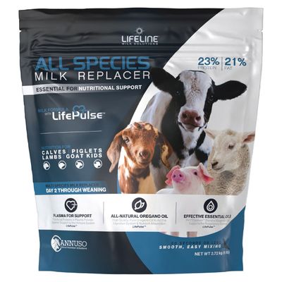 All Species Milk Replacer
