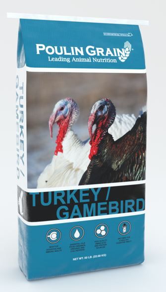 Turkey Gamebird Pellet 20%