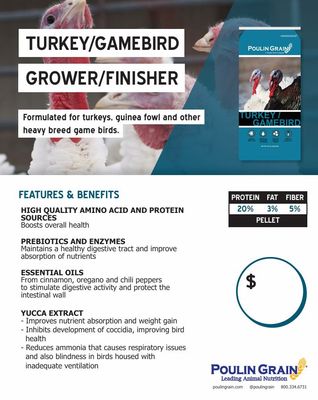 Turkey Gamebird Pellet 20%