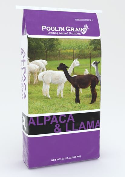 N.E.Alpaca/Llama