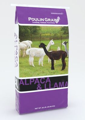 N.E.Alpaca/Llama