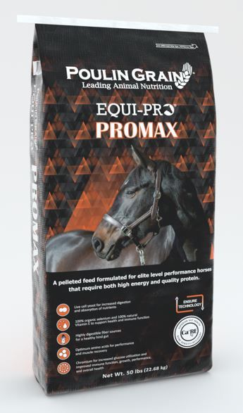 Equi pro Promax
