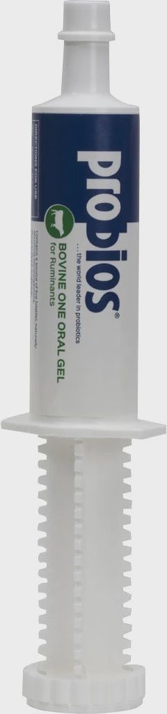 Probios Bovine One Oral Gel