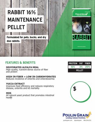 Rabbit 16% Maintenance Pellet