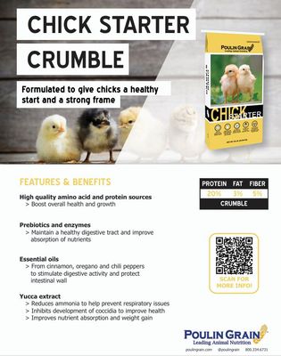 Chick Starter
