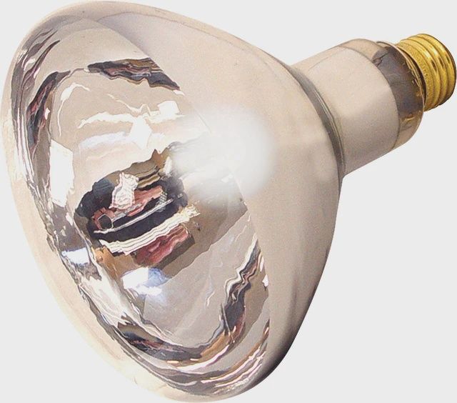 Heat Lamp Indoor