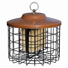 Squirrel Resistant Suet Cage