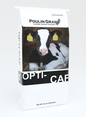 Opti C.A.F. Starter