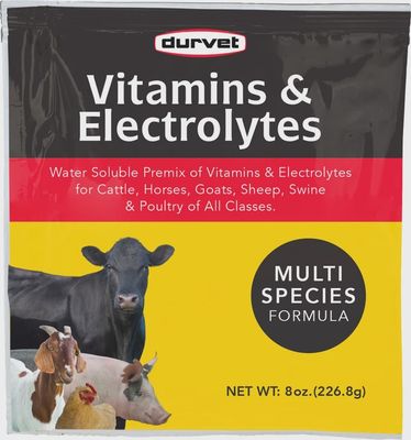 Vitamins &amp; Electrolytes Multi-Species Formula