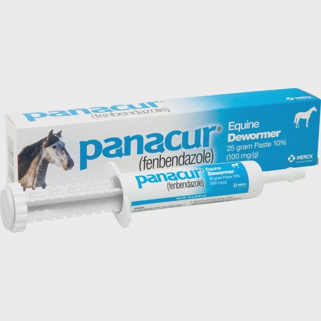Panacur Equine Dewormer