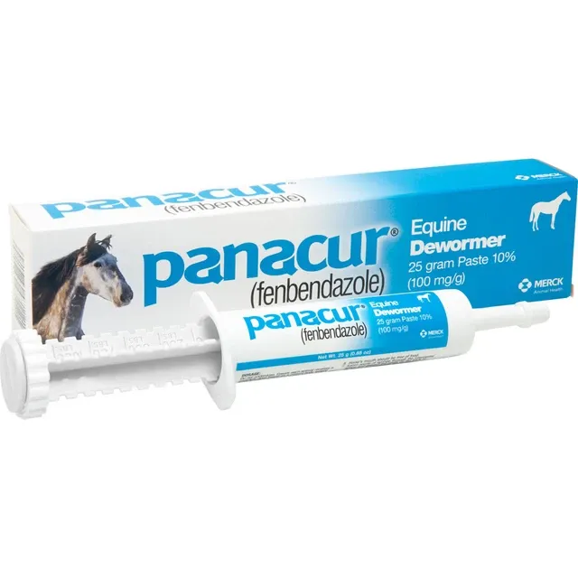 Panacur Equine Dewormer