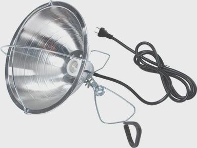 Brooder Lamp With Clamp