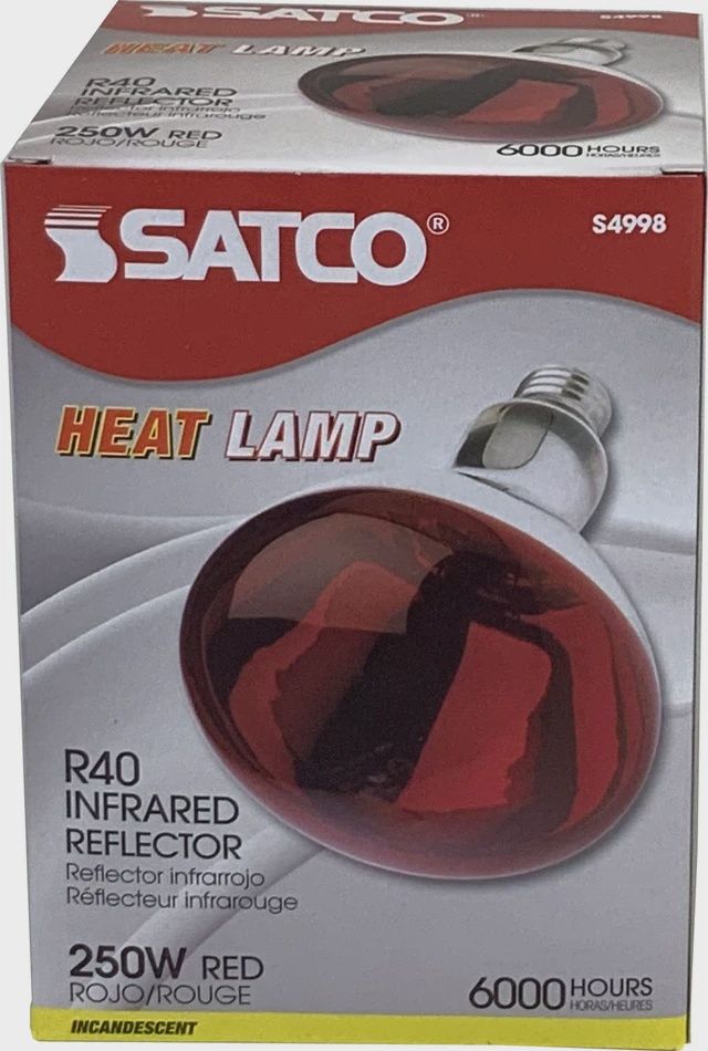 Red Heat Lamp Bulb