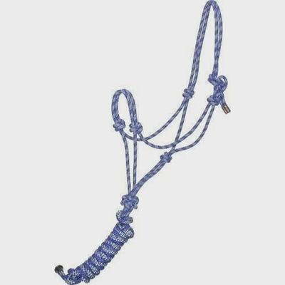 Rope Halter w/ 10ft Lead Rope