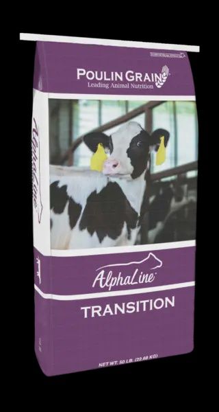 Alphaline Transition
