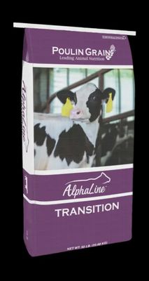 Alphaline Transition
